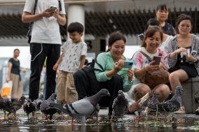 Daily Life In Hong Kong