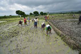 Agriculture In India