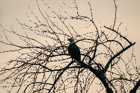 Wildlife At The Oxbow Nature Conservancy