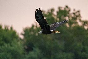 Wildlife At The Oxbow Nature Conservancy