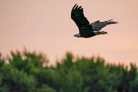 Wildlife At The Oxbow Nature Conservancy