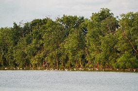 Wildlife At The Oxbow Nature Conservancy