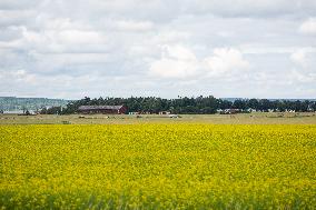 Linköping - Sweden