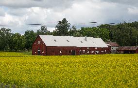 Linköping - Sweden