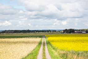 Linköping - Sweden