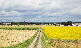 Linköping - Sweden