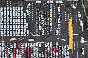 2024 H1 New Energy Vehicles Export Growth