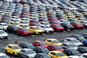 2024 H1 New Energy Vehicles Export Growth