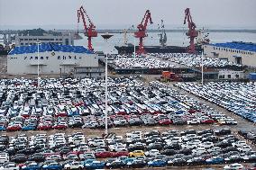 2024 H1 New Energy Vehicles Export Growth