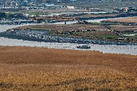 Suncheon Bay