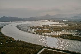 Suncheon Bay