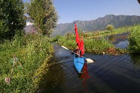 Muharram Procession In Interiors Of Dal Lake Kashmir