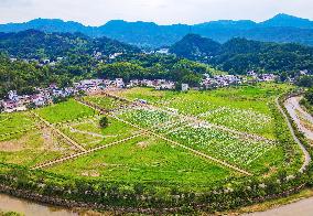 Greenhouse Construction in Anqing