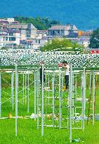 Greenhouse Construction in Anqing