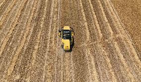 Grain Harvesting - Turkey