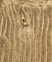 Grain Harvesting - Turkey