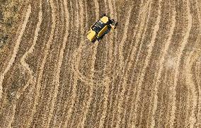 Grain Harvesting - Turkey