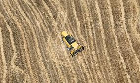 Grain Harvesting - Turkey