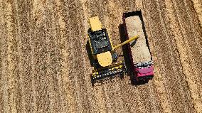 Grain Harvesting - Turkey