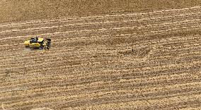 Grain Harvesting - Turkey