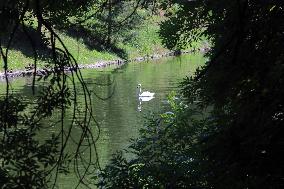 Sofiivka National Dendrological Park in Uman