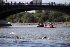 People Swimming In The Seine River - Paris