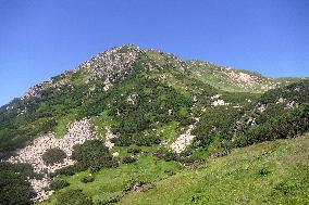 Climbing Mount Hutyn Tomnatyk in Ukrainian Carpathians