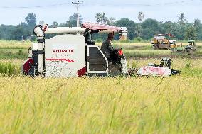 MYANMAR-NAY PYI TAW-RICE-HARVEST