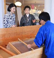 Crown princess visits central Japan city of Mino