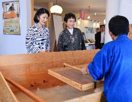 Crown princess visits central Japan city of Mino