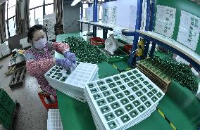 Magnetic Material Components Production in Haian