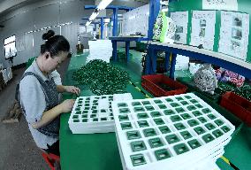 Magnetic Material Components Production in Haian