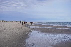 Daily Life In Skagen, Denmark