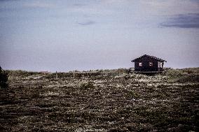 Daily Life In Skagen, Denmark