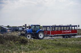 Daily Life In Skagen, Denmark