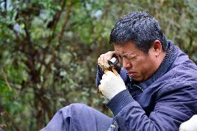 (GloriousGuizhou) CHINA-GUIZHOU-JIANHE-PALEONTOLOGY-GRASSROOTS EXPERT(CN)