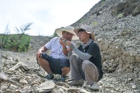 (GloriousGuizhou) CHINA-GUIZHOU-JIANHE-PALEONTOLOGY-GRASSROOTS EXPERT(CN)