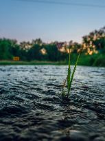 Back To Back Derechos Cause Flooding In Wisconsin