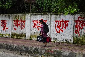 An Anti-quota Student Protester