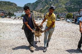 Eid al-Adha In Hatay - Turkey