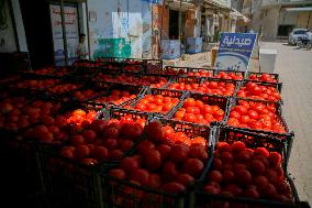 Homemade Tomato Paste - Idlib