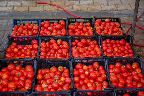 Homemade Tomato Paste - Idlib