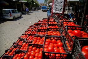 Homemade Tomato Paste - Idlib