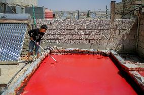 Homemade Tomato Paste - Idlib