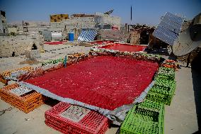 Homemade Tomato Paste - Idlib