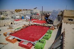 Homemade Tomato Paste - Idlib