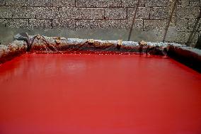 Homemade Tomato Paste - Idlib