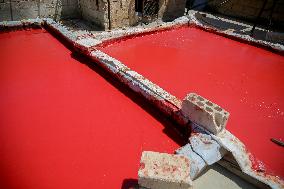 Homemade Tomato Paste - Idlib