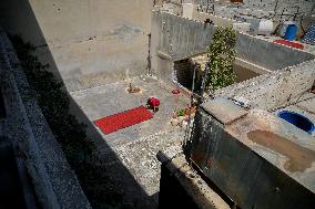 Homemade Tomato Paste - Idlib