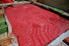 Homemade Tomato Paste - Idlib